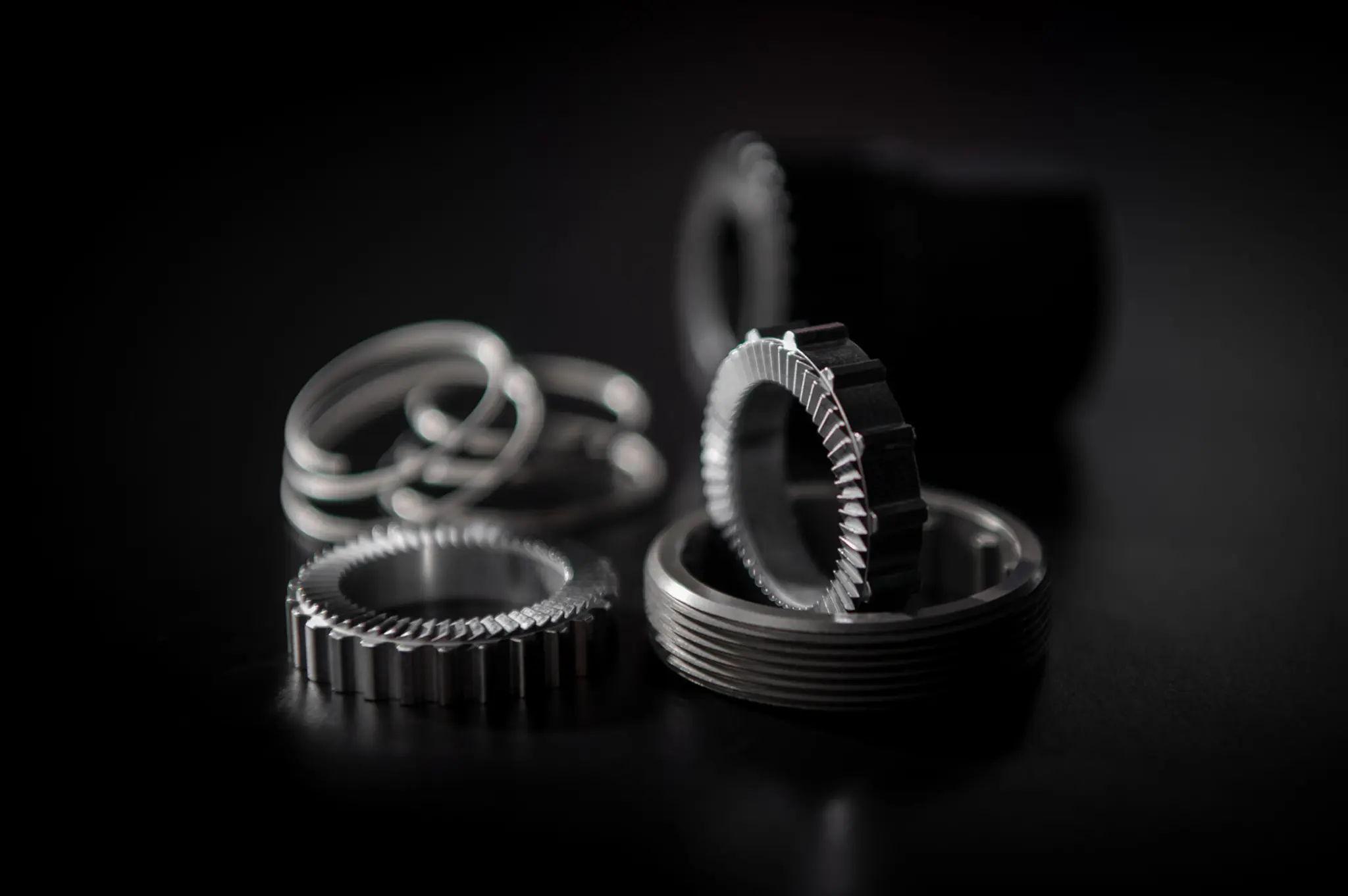 Parts of the DT Swiss Ratchet DF Upgrade Kit: toothed ratchet rings, springs and threaded ring