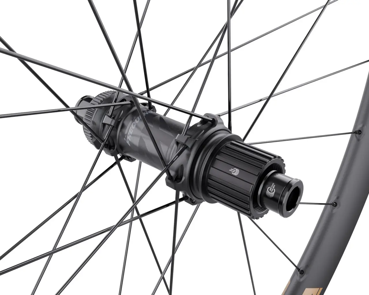 Le moyeu arrière Frequency 7X d'une roue WTB CMR Light i30, avec son corps de roue libre et ses rayons