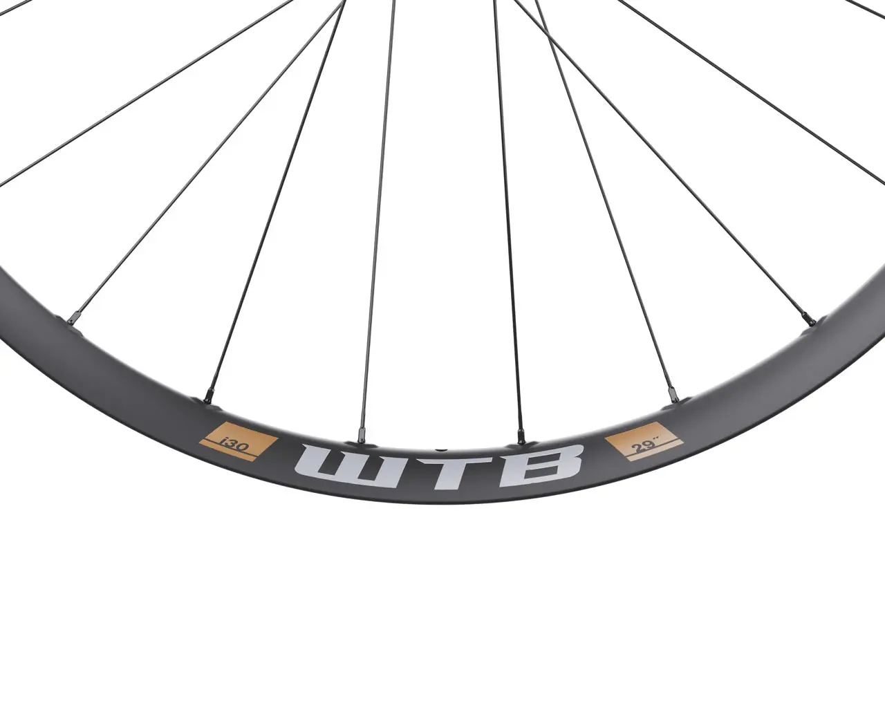 Détail de la jante carbone WTB CMR Light i30, marquages i30 et 29 pouces